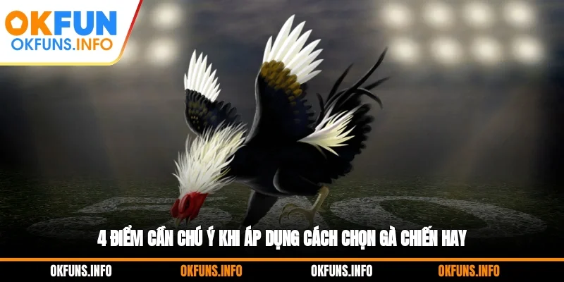 4 điểm cần chú ý khi áp dụng cách chọn gà chiến hay