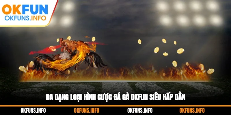 Đa dạng loại hình cược đá gà OKFUN siêu hấp dẫn