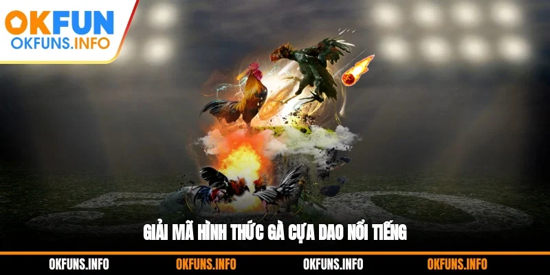 Giải mã hình thức gà cựa dao nổi tiếng