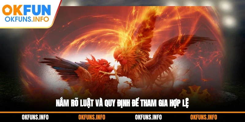 Nắm rõ luật và quy định để tham gia hợp lệ