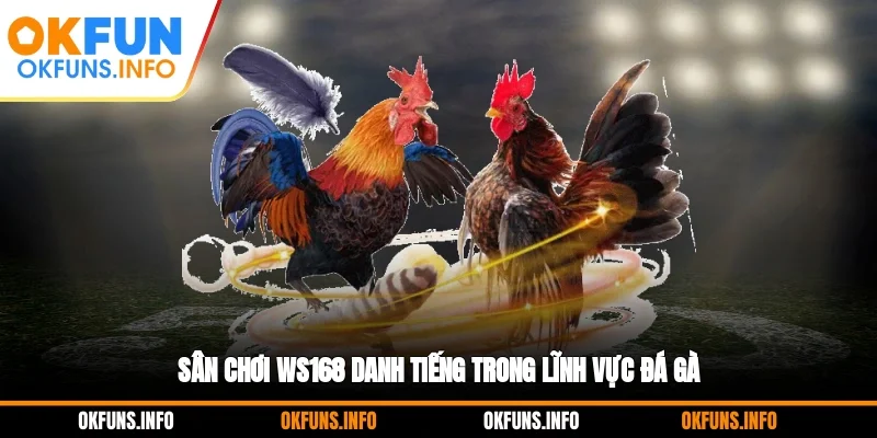 Sân chơi WS168 danh tiếng trong lĩnh vực đá gà