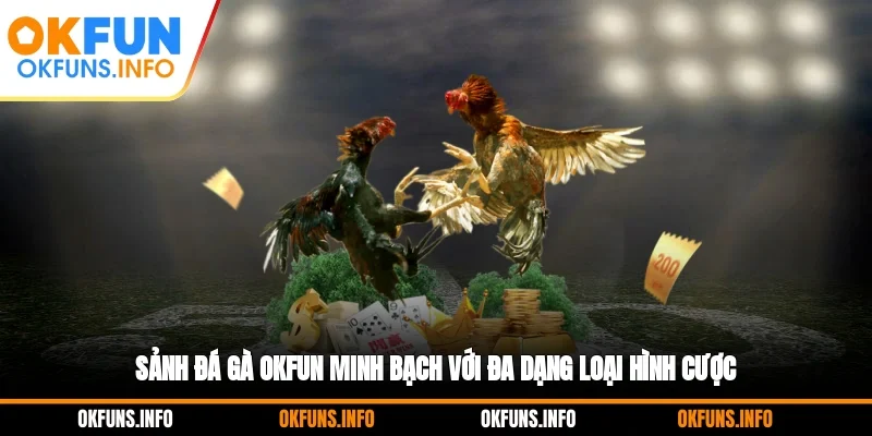 Sảnh đá gà OKFUN minh bạch với đa dạng loại hình cược