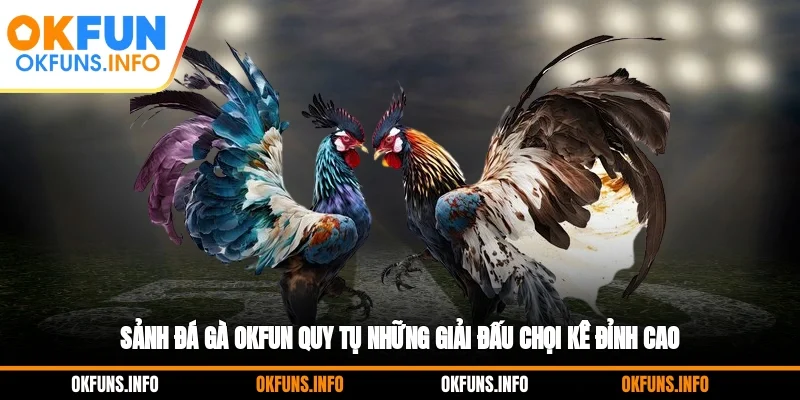 Sảnh đá gà OKFUN quy tụ những giải đấu chọi kê đỉnh cao